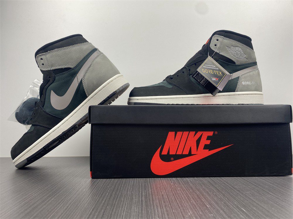 Air Jordan 1 Element Gore-Tex